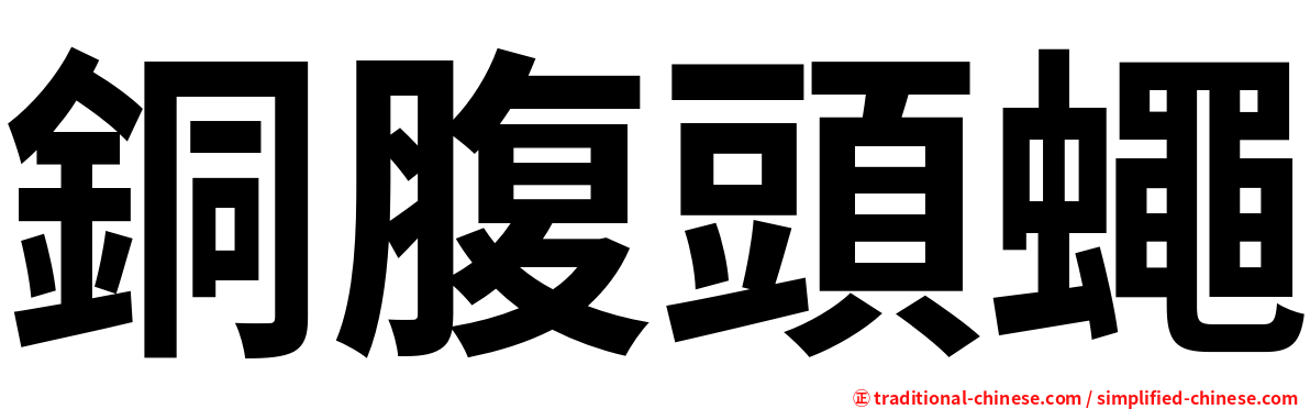 銅腹頭蠅