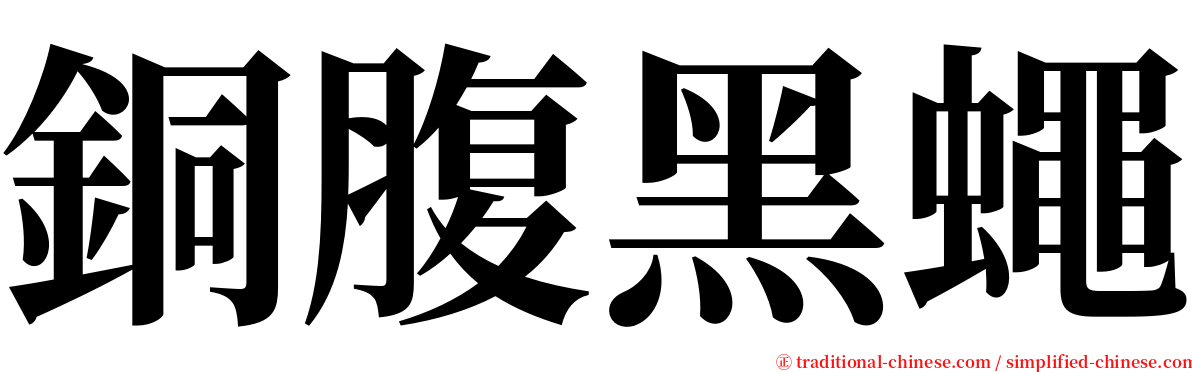 銅腹黑蠅 serif font