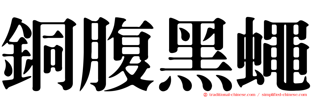 銅腹黑蠅
