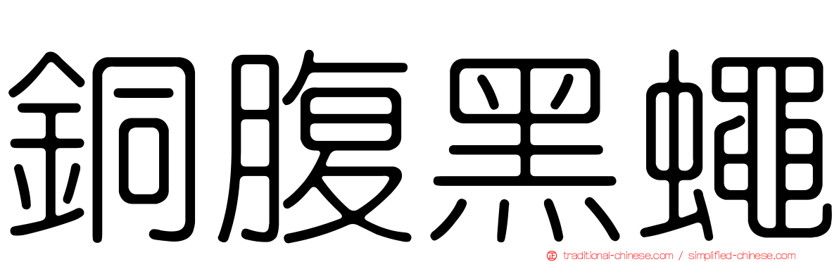 銅腹黑蠅