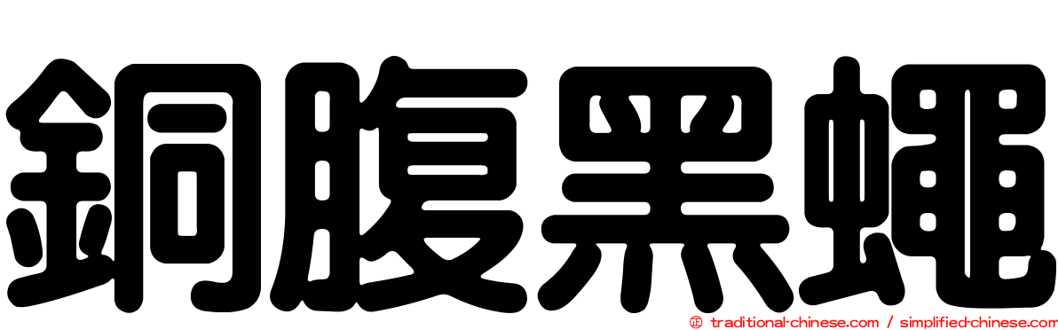 銅腹黑蠅