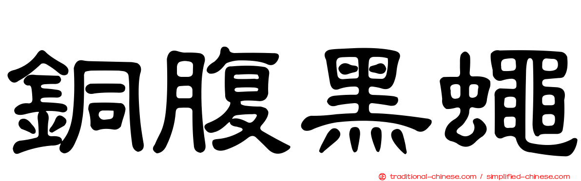 銅腹黑蠅