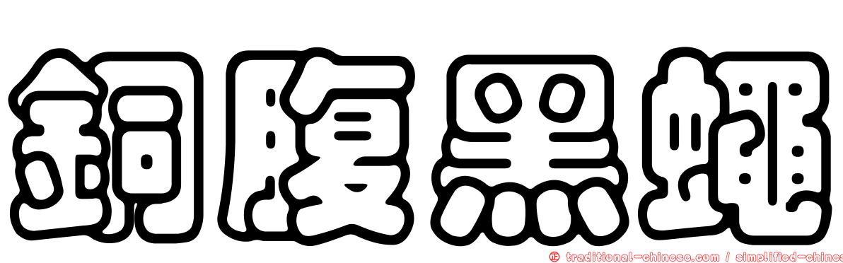 銅腹黑蠅