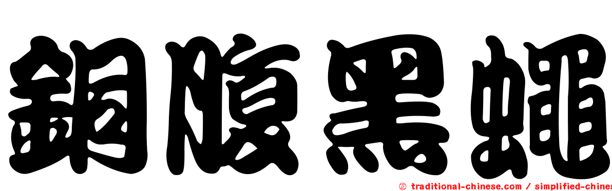 銅腹黑蠅