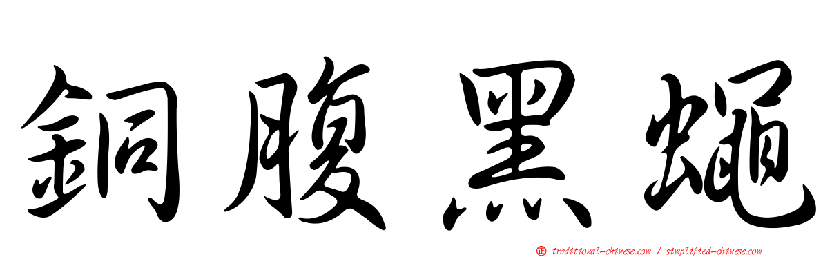 銅腹黑蠅