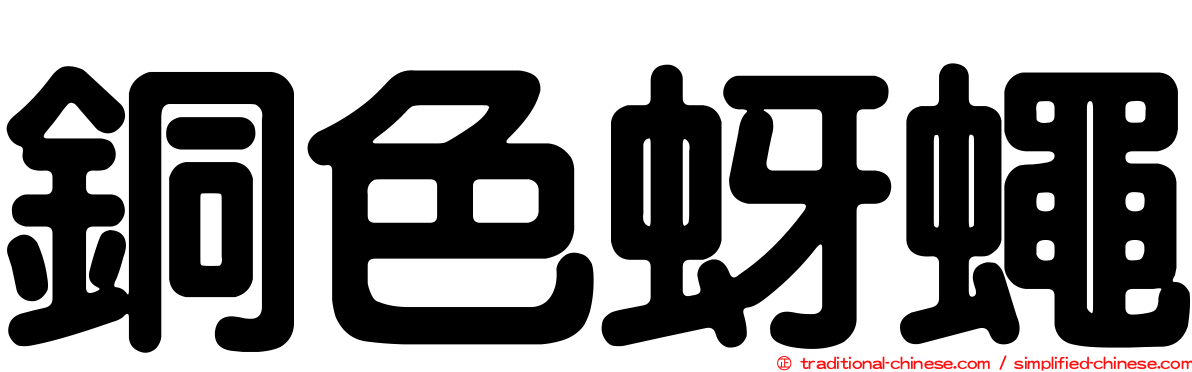 銅色蚜蠅