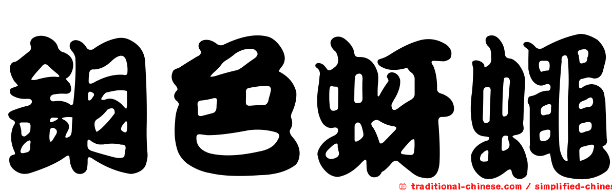 銅色蚜蠅