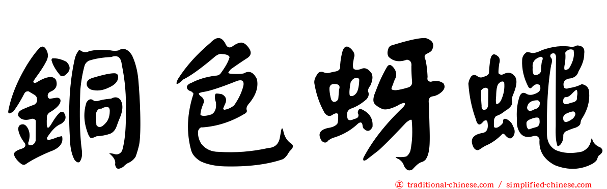 銅色蚜蠅