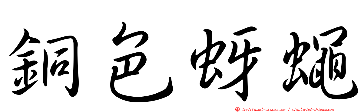 銅色蚜蠅