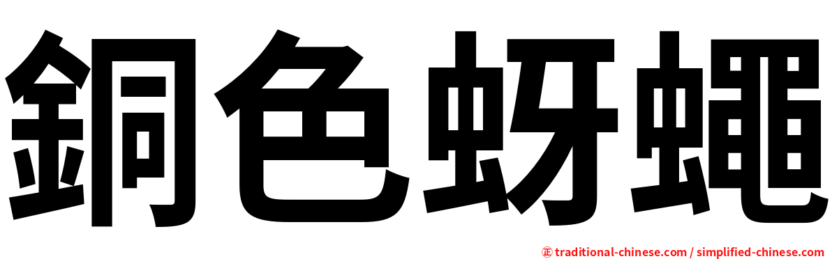 銅色蚜蠅