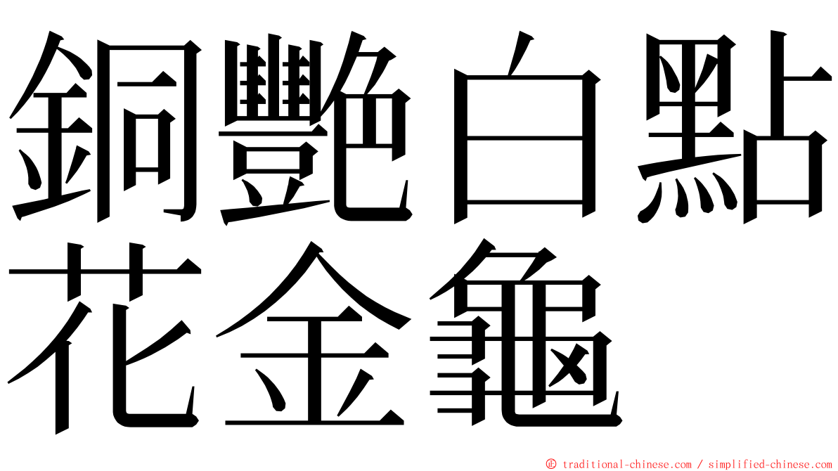 銅艷白點花金龜 ming font