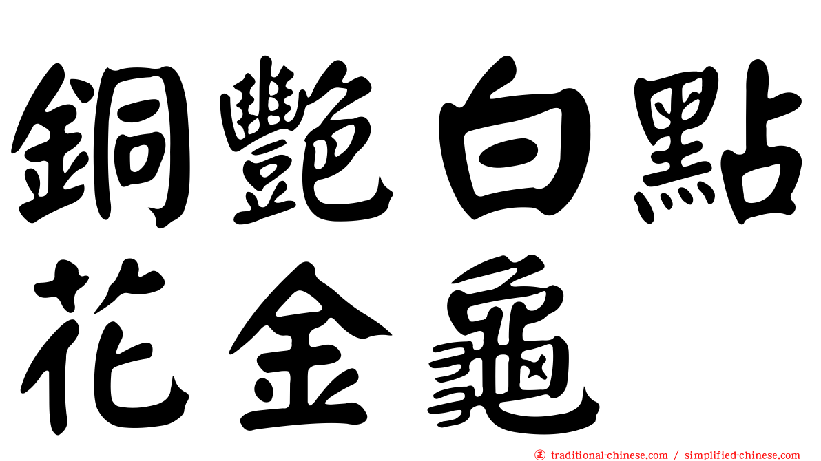 銅艷白點花金龜