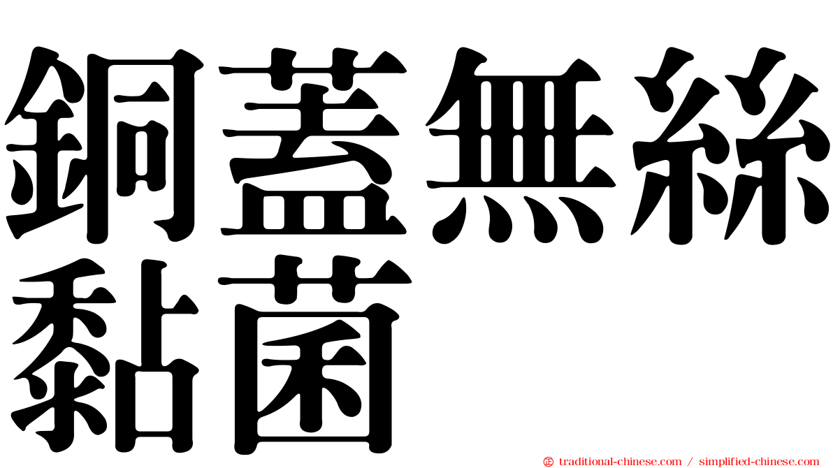 銅蓋無絲黏菌