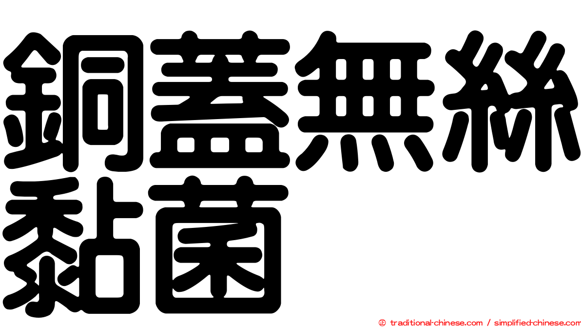 銅蓋無絲黏菌