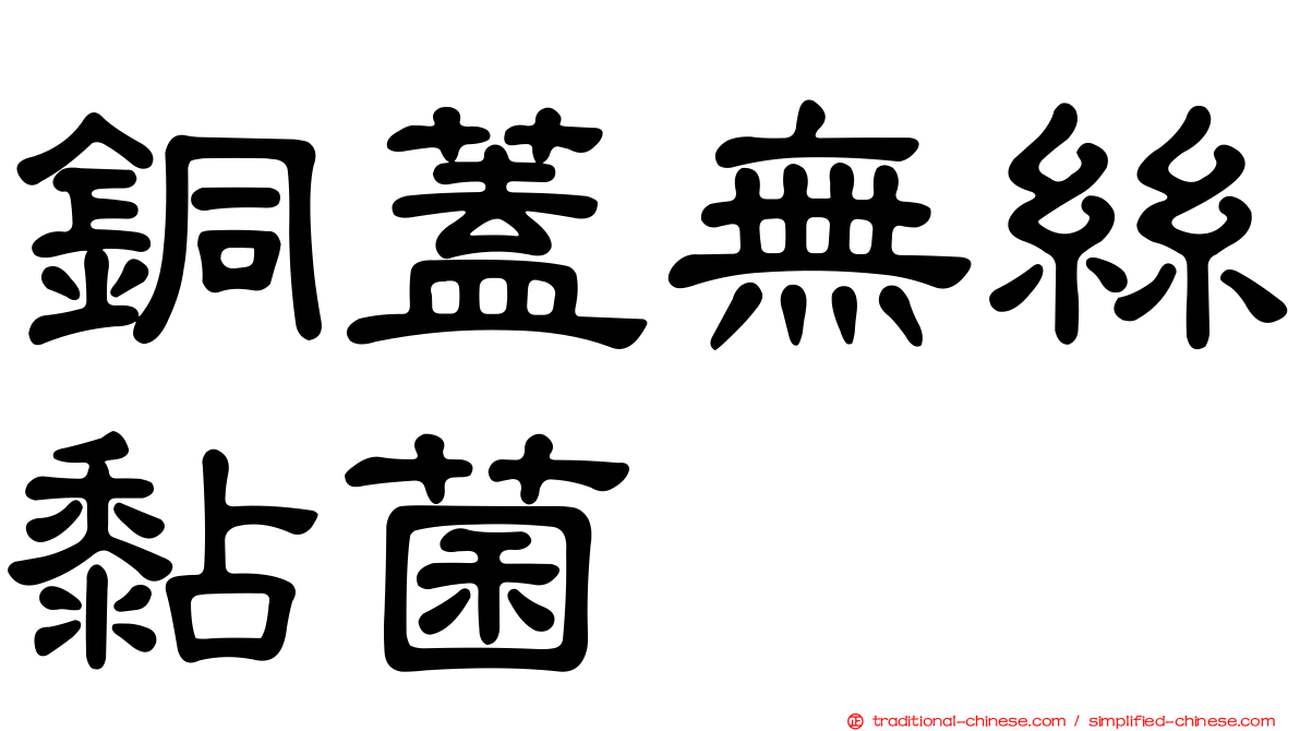 銅蓋無絲黏菌
