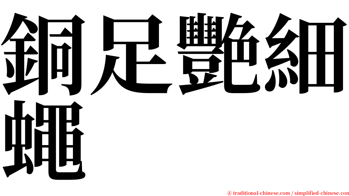 銅足艷細蠅 serif font