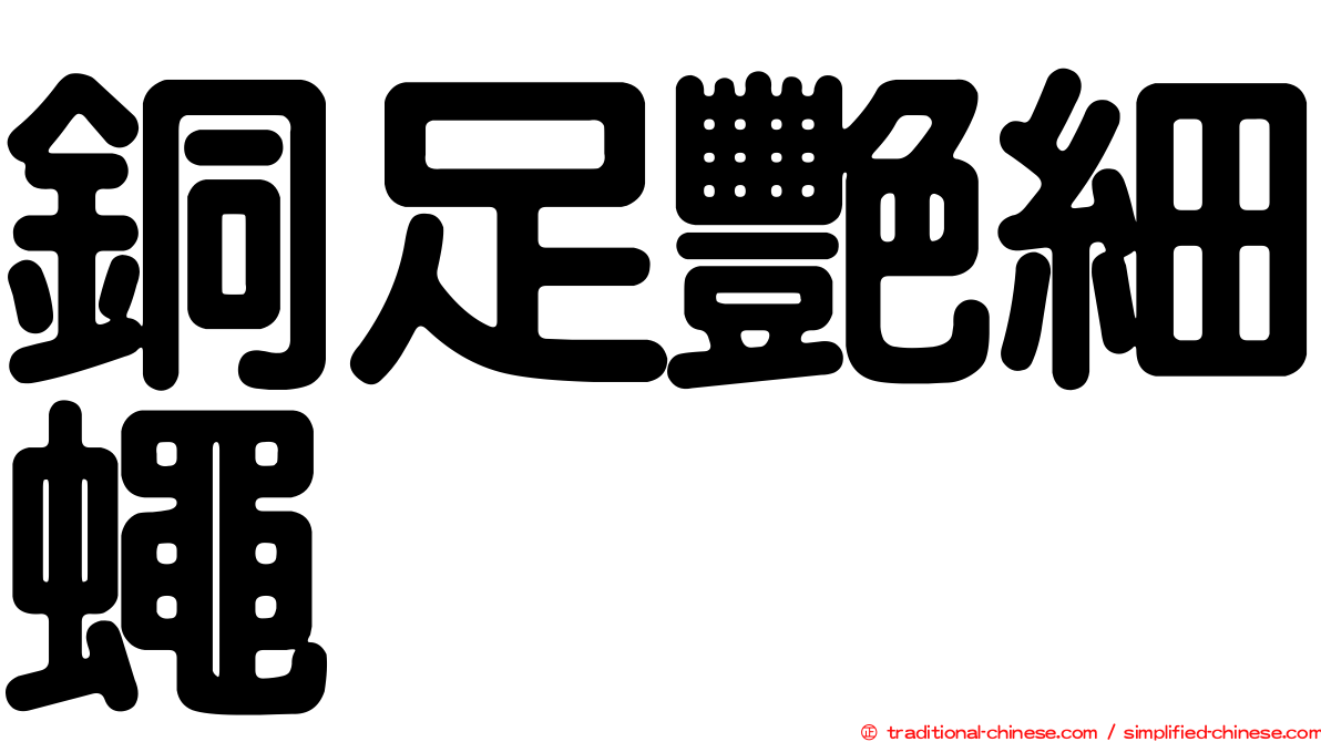 銅足艷細蠅