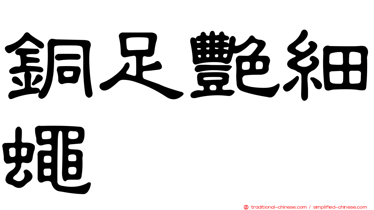 銅足艷細蠅