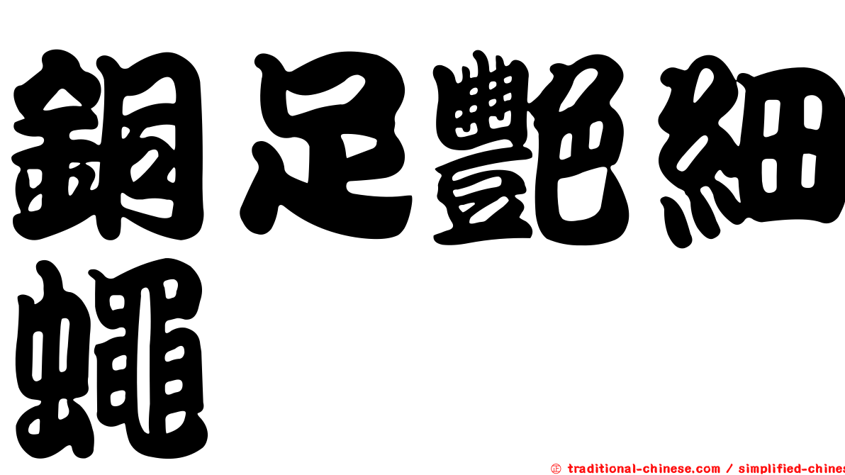 銅足艷細蠅