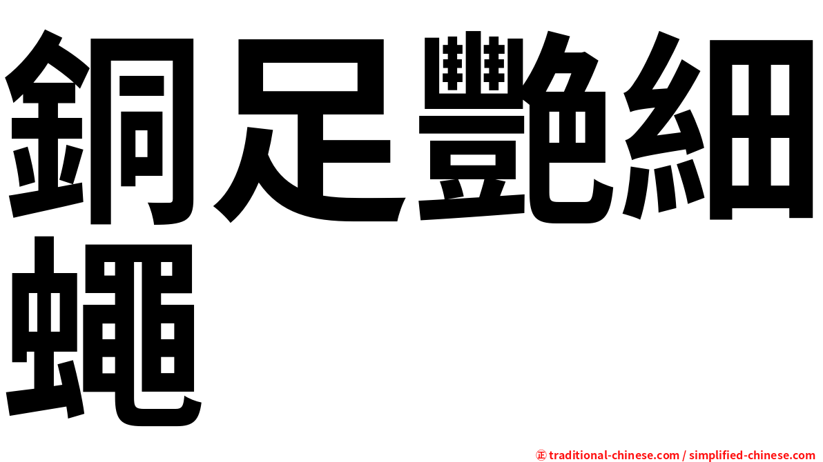 銅足艷細蠅