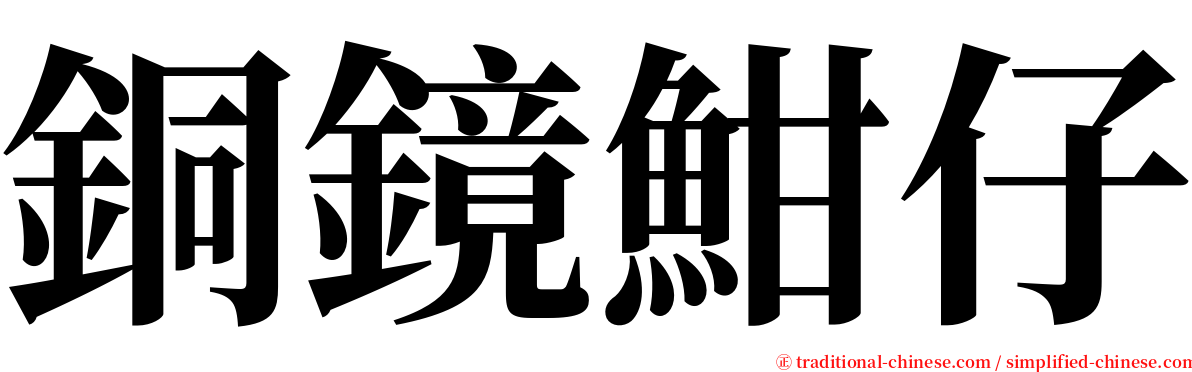 銅鏡魽仔 serif font
