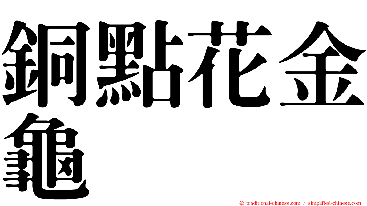 銅點花金龜