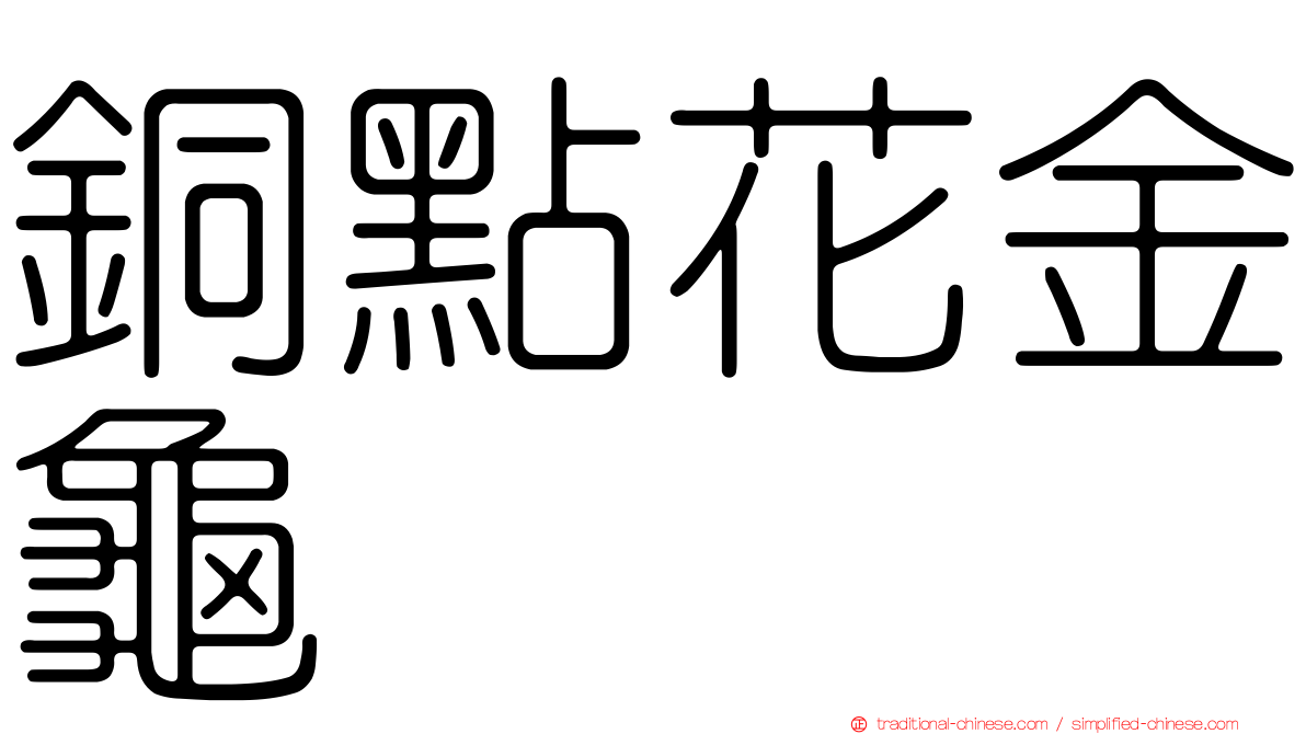 銅點花金龜
