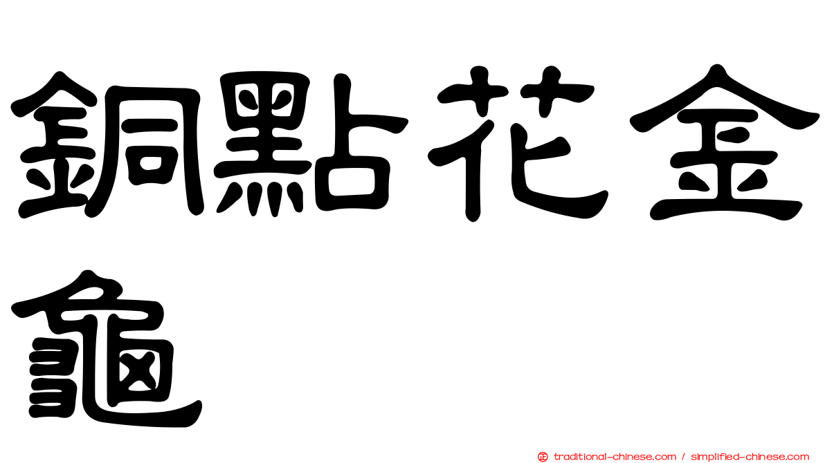 銅點花金龜