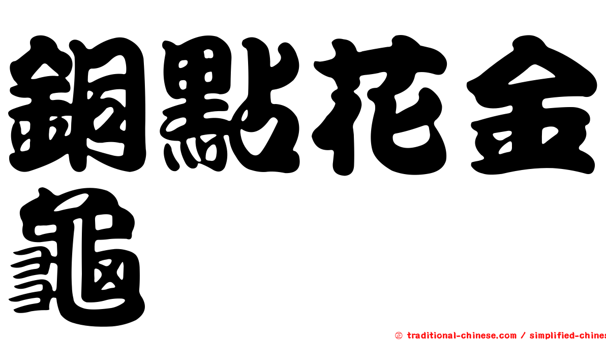 銅點花金龜