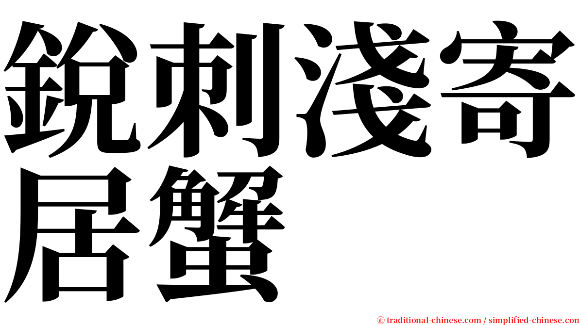 銳刺淺寄居蟹 serif font