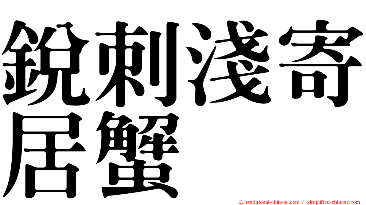 銳刺淺寄居蟹