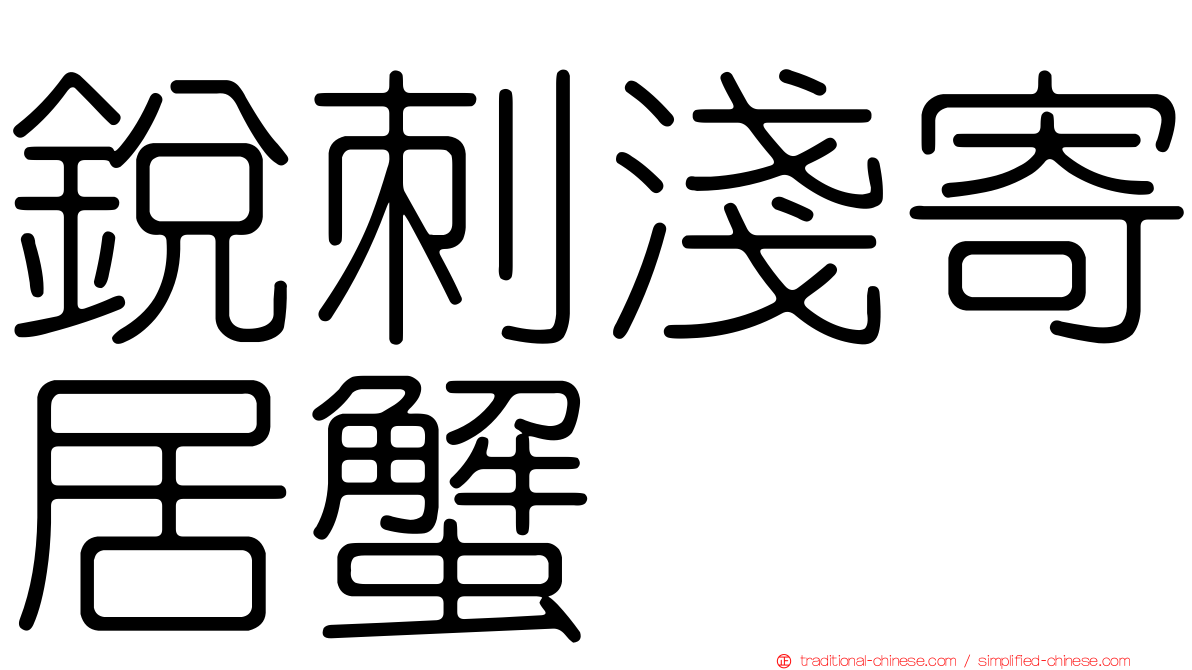 銳刺淺寄居蟹