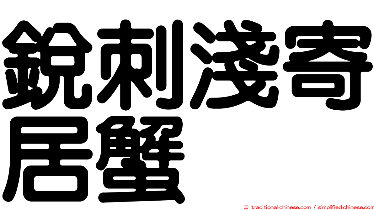 銳刺淺寄居蟹
