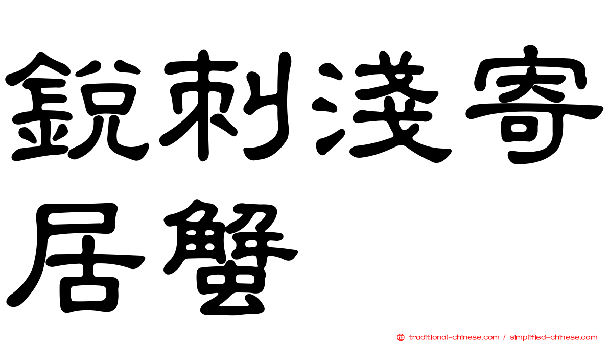 銳刺淺寄居蟹