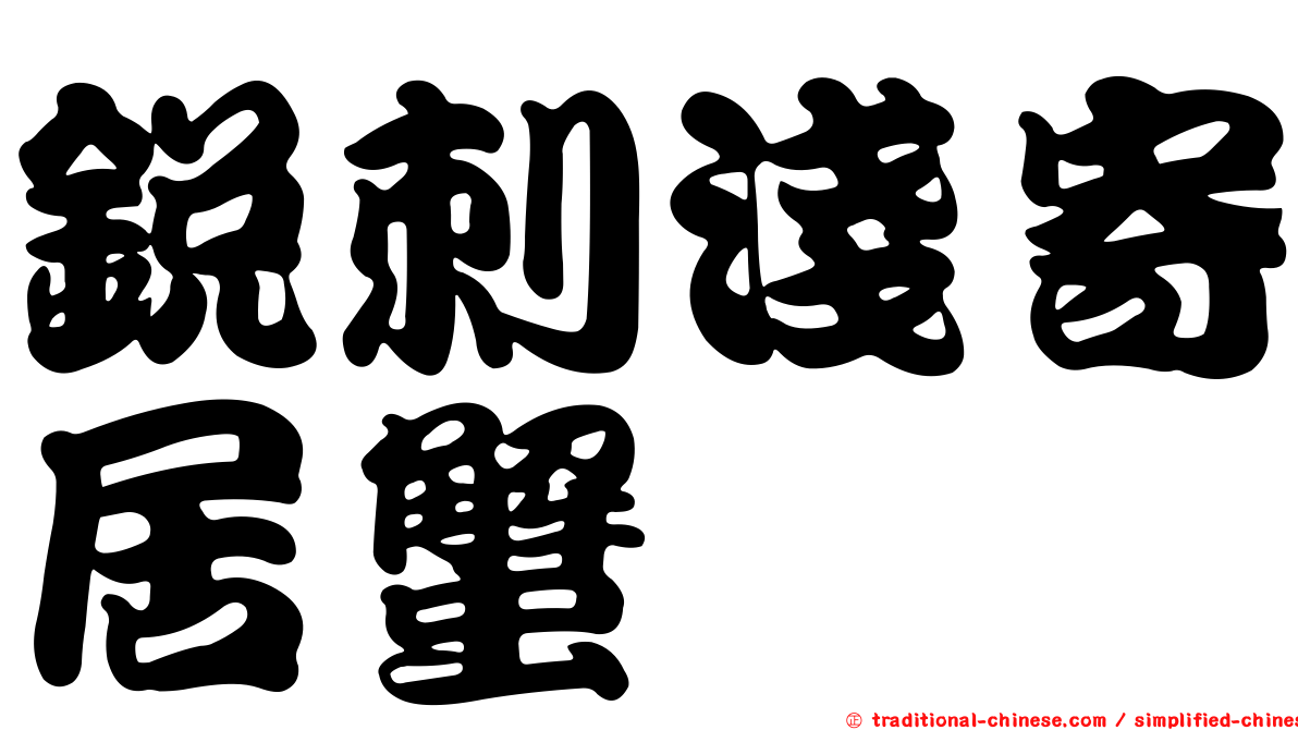 銳刺淺寄居蟹