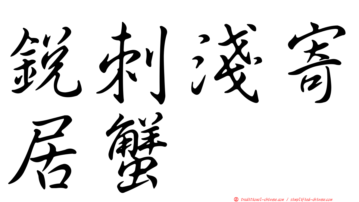 銳刺淺寄居蟹
