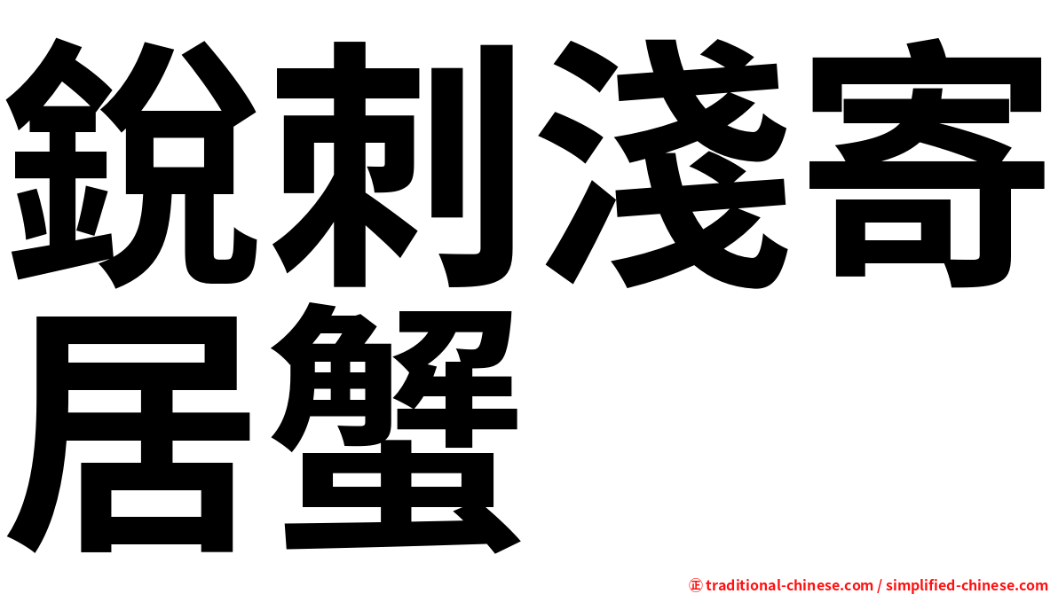 銳刺淺寄居蟹