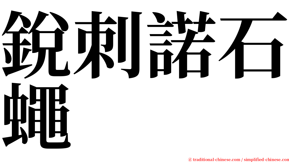 銳刺諾石蠅 serif font