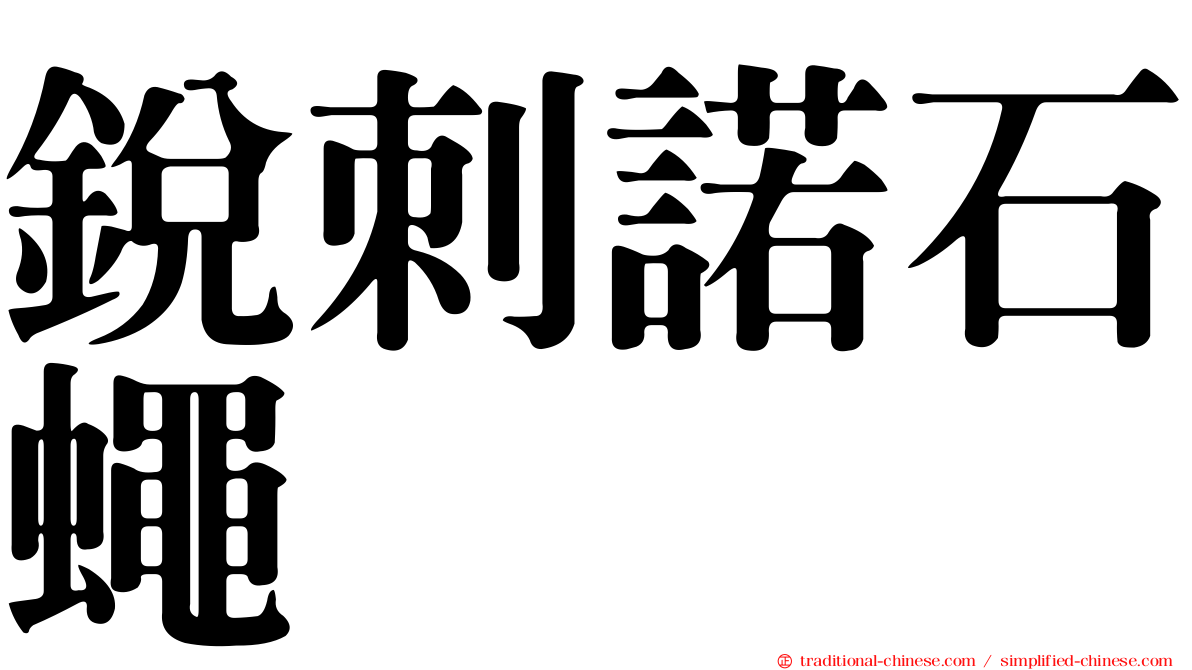 銳刺諾石蠅