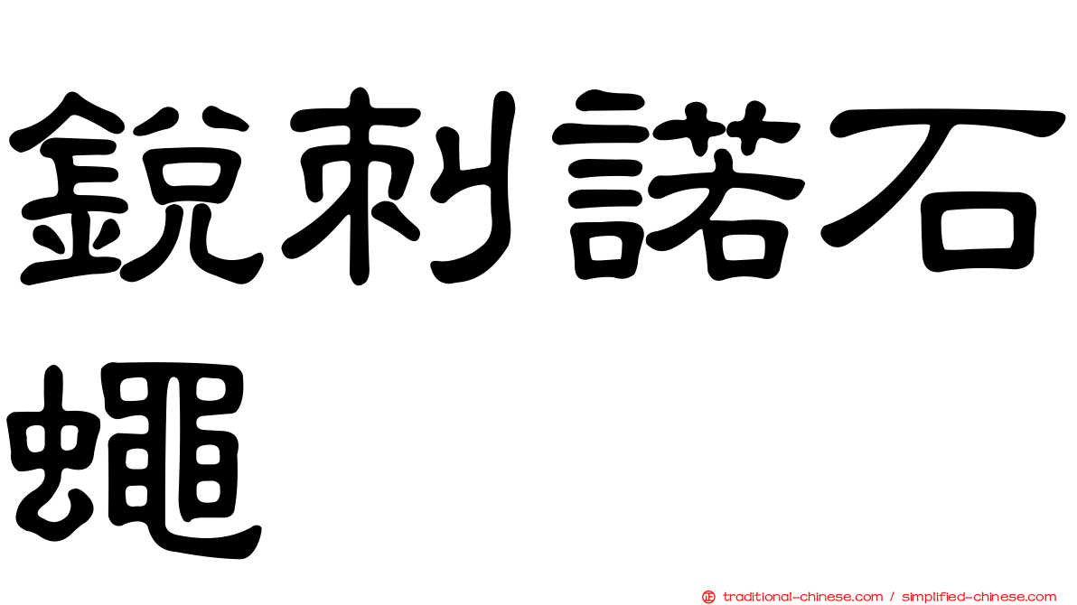 銳刺諾石蠅