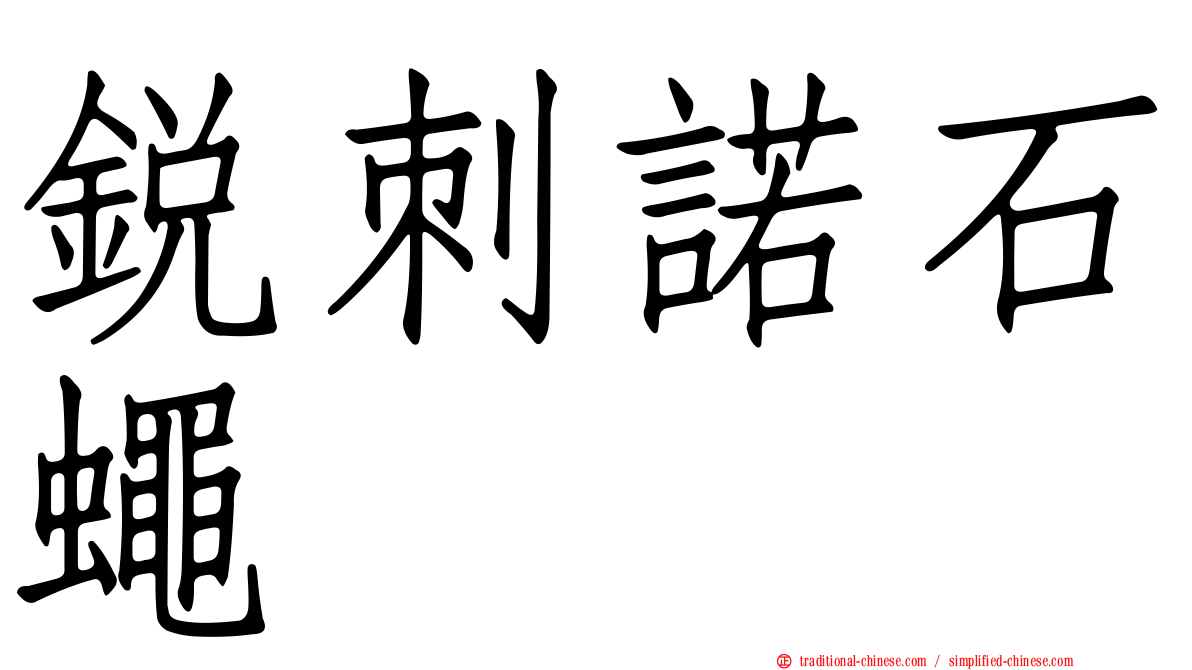 銳刺諾石蠅