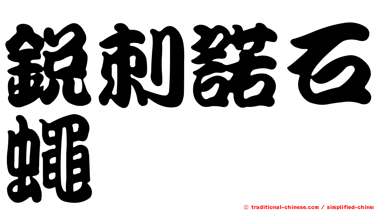 銳刺諾石蠅