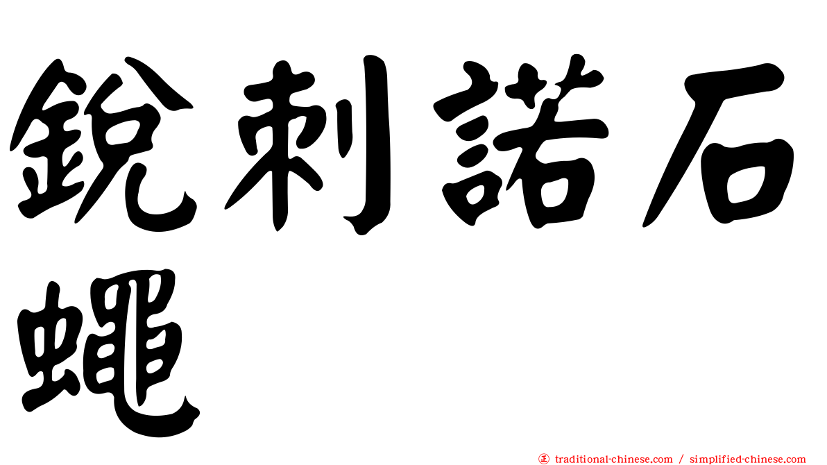 銳刺諾石蠅