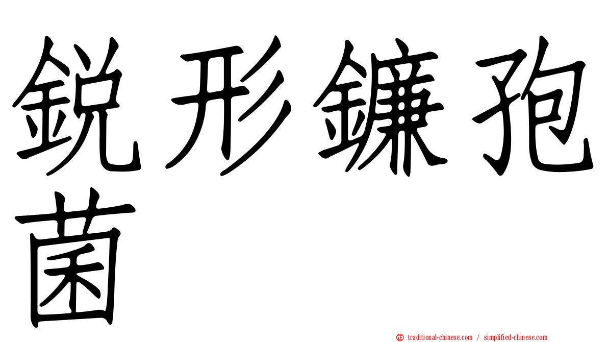 銳形鐮孢菌