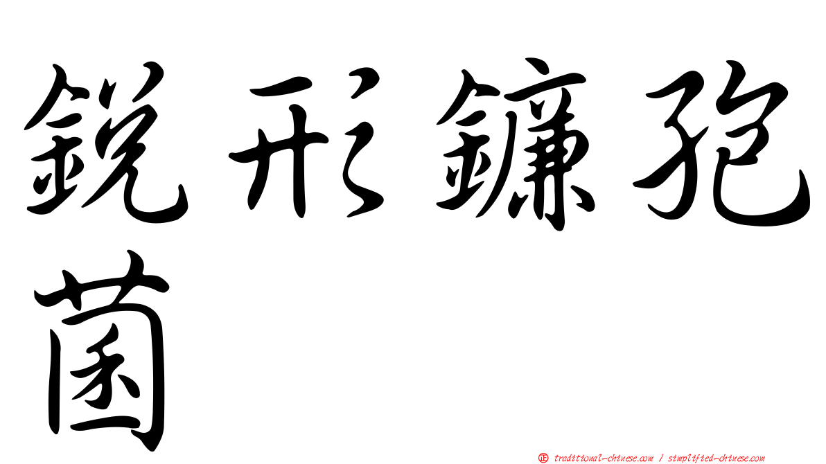銳形鐮孢菌