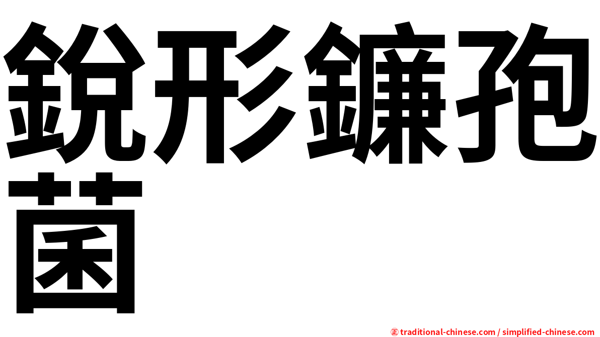 銳形鐮孢菌