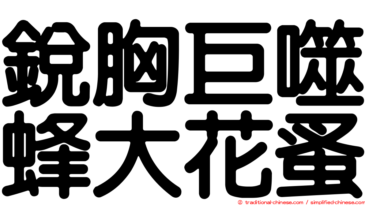 銳胸巨噬蜂大花蚤