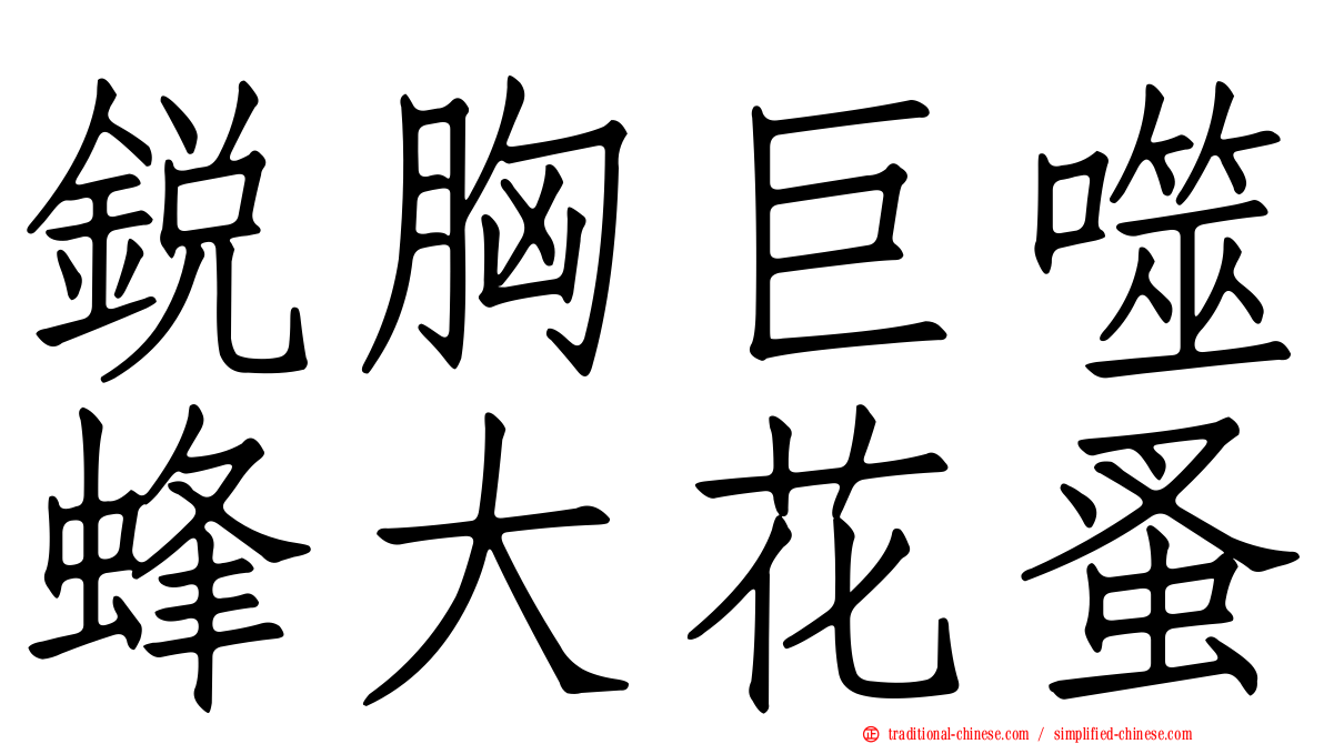 銳胸巨噬蜂大花蚤