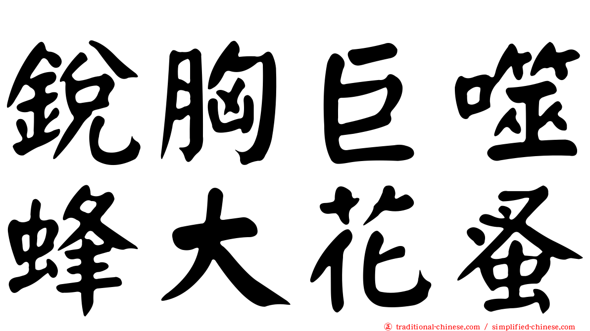 銳胸巨噬蜂大花蚤