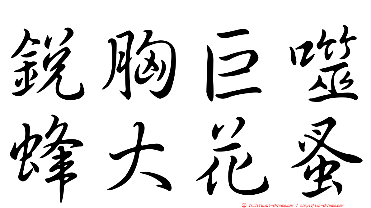 銳胸巨噬蜂大花蚤